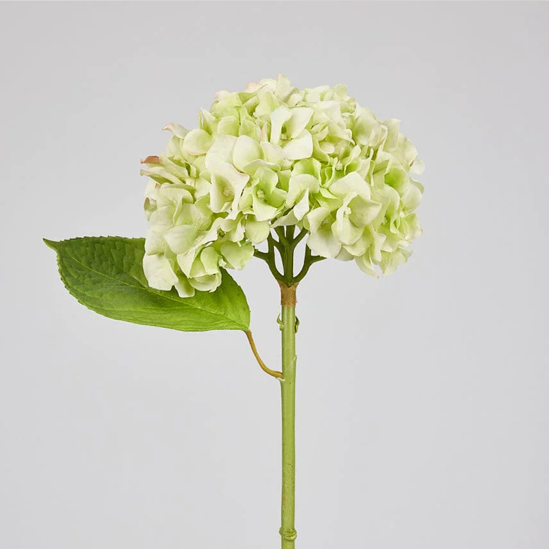 spring7