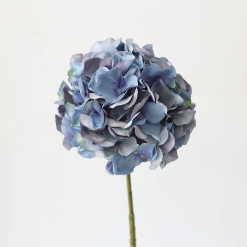 Hydrangea Snowball Flower
